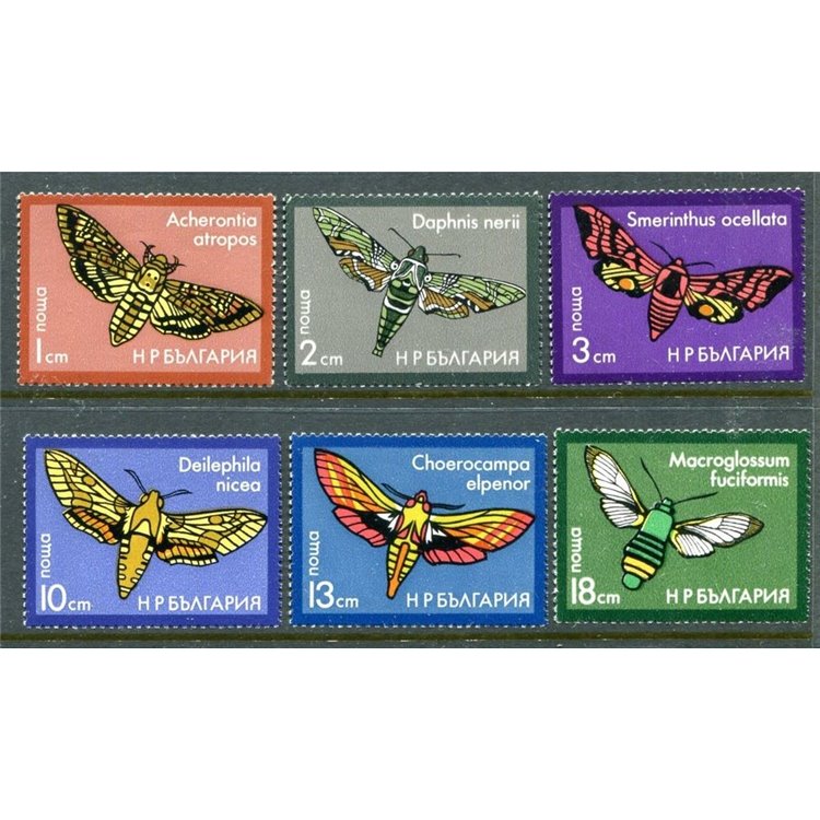 BULGARIA 1975 Fauna, farfalle 6v MNH**