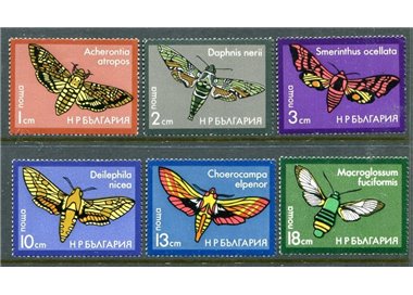 BULGARIA 1975 Fauna, butterflies 6v MNH**