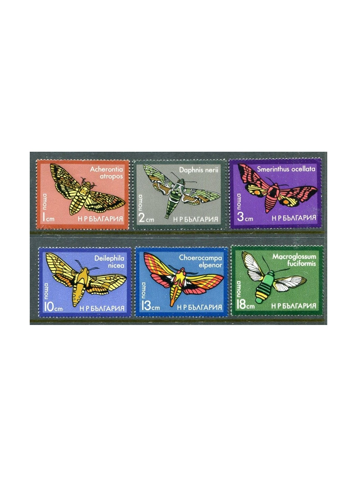 BULGARIA 1975 Fauna, butterflies 6v MNH**