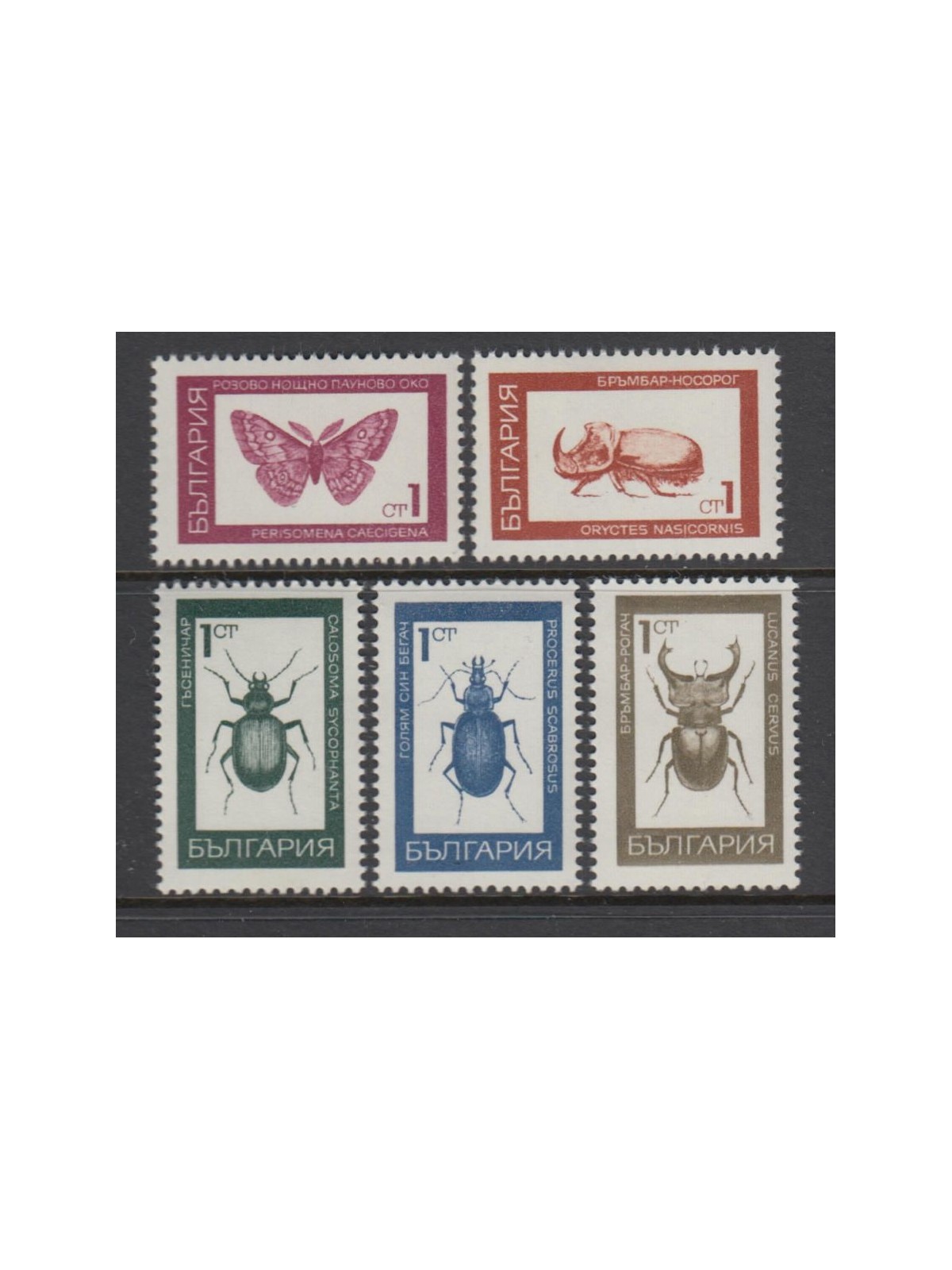 BULGARIA 1968 Serie ordinaria (insetti) 5v MNH**