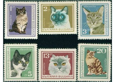 BULGARIA 1967 Gatti 6v MNH**