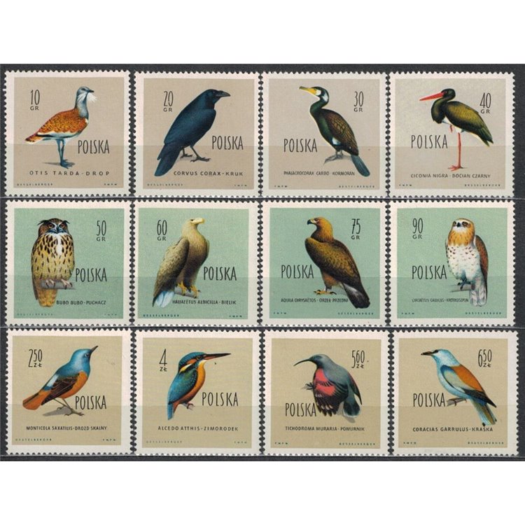 POLAND 1960 Fauna, protected birds 12v MNH**