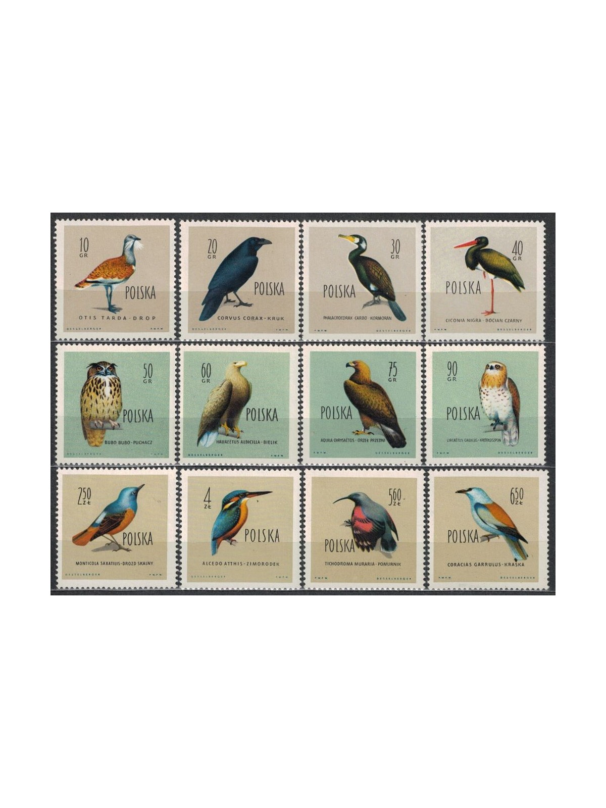 POLAND 1960 Fauna, protected birds 12v MNH**