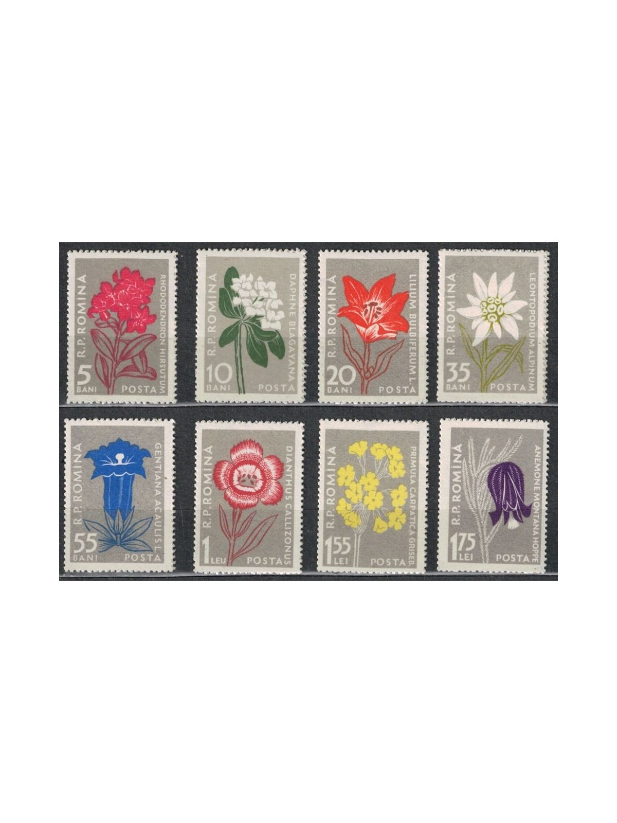 ROMANIA 1957 Flora, fiori 8v MNH**