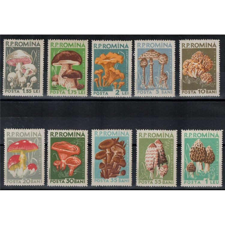 ROMANIA 1958 Funghi 10v MNH**