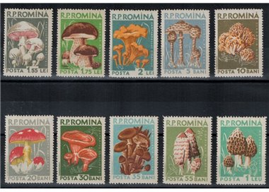 ROMANIA 1958 Funghi 10v MNH**
