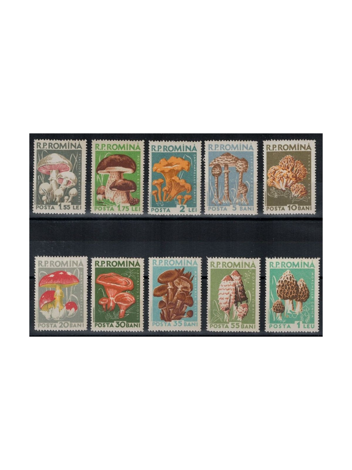 ROMANIA 1958 Funghi 10v MNH**
