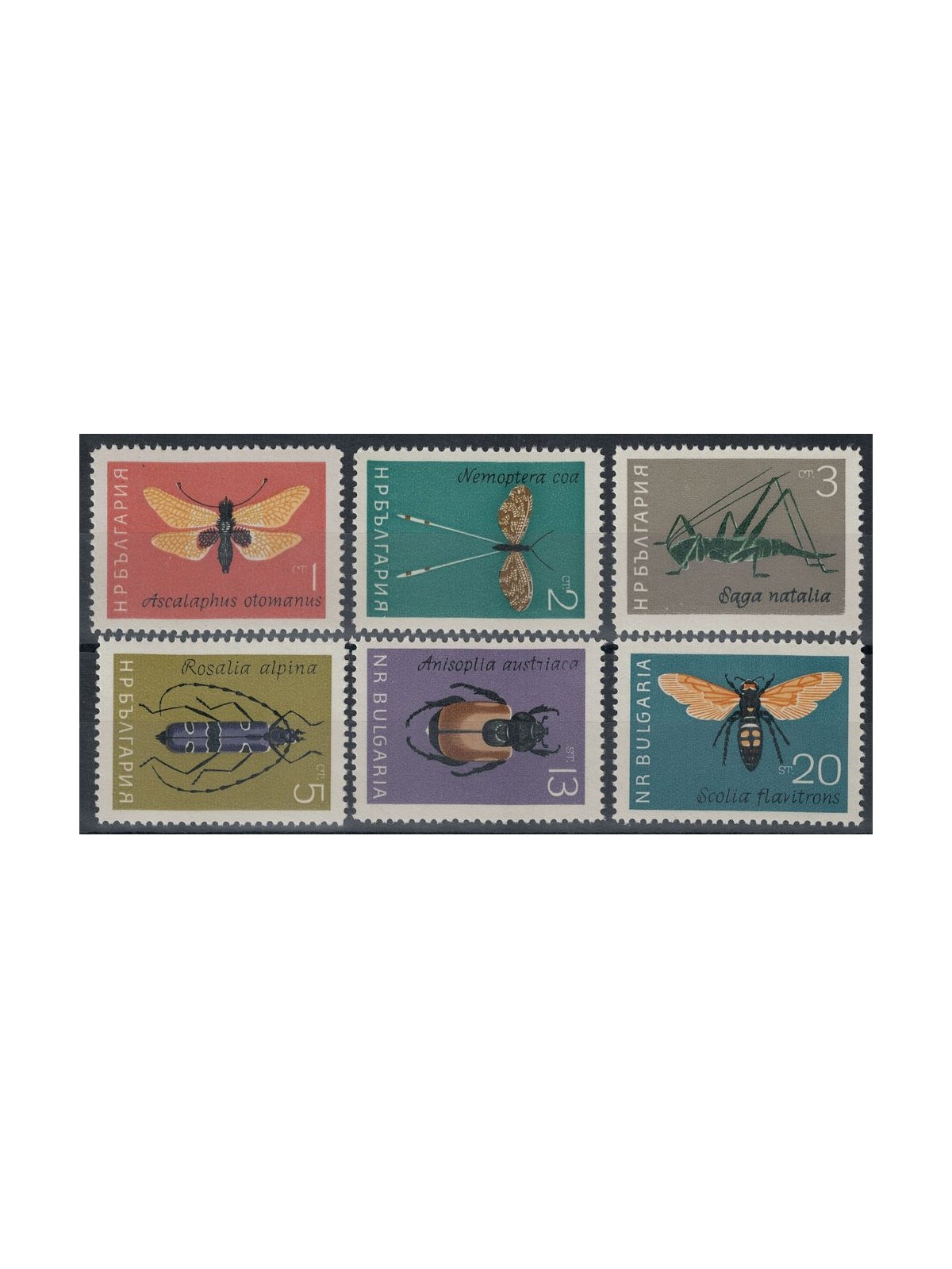 BULGARIA 1964 Insetti 6v MNH**