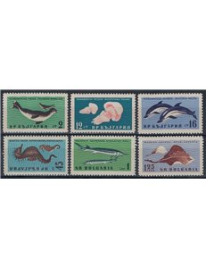 BULGARIA 1961 Fauna del Mar Nero 6v MNH**