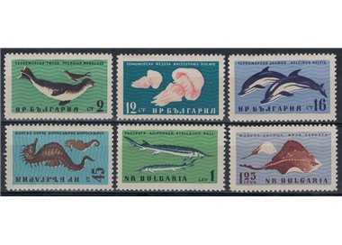BULGARIA 1961 Fauna del Mar Nero 6v MNH**
