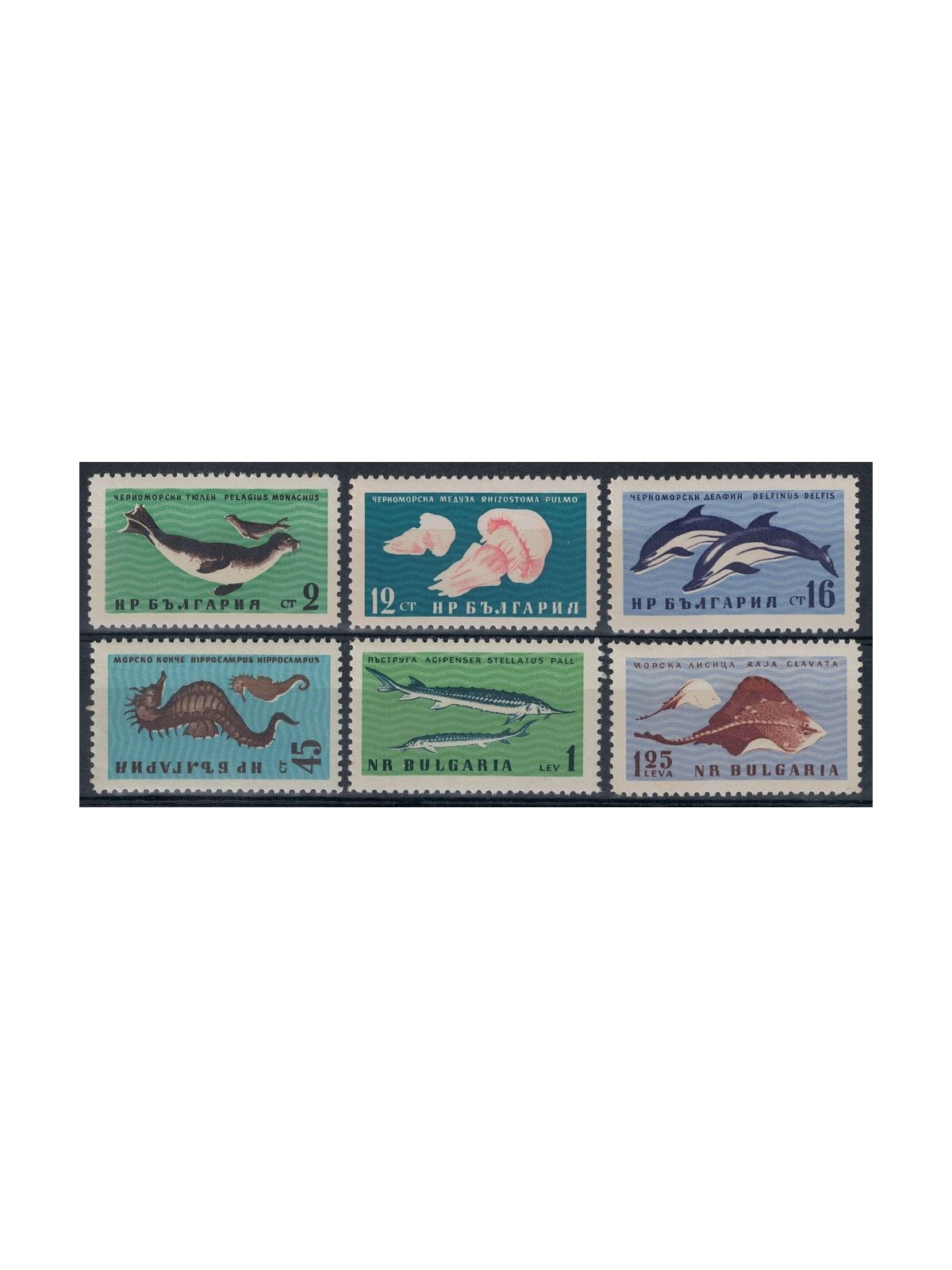 BULGARIA 1961 Fauna of the Black Sea 6v MNH**
