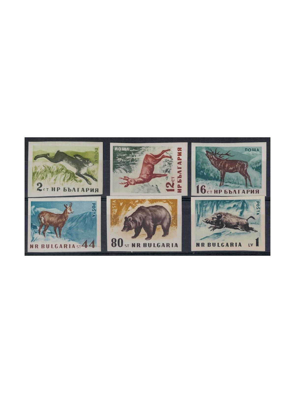 BULGARIA 1958 Fauna, animali della foresta 6v MNH**