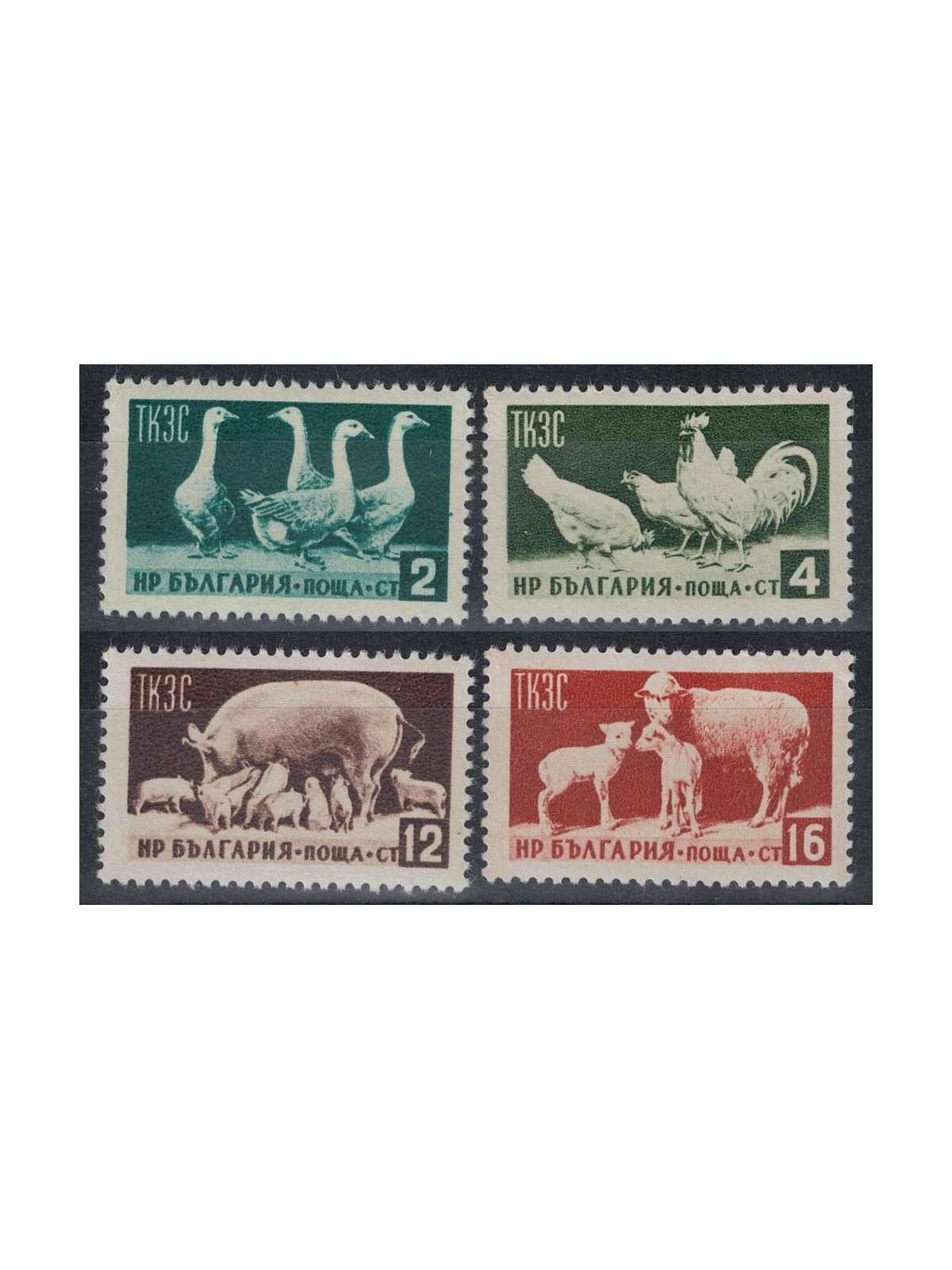 BULGARIA 1955 Economic Propaganda, Farm Animals 4v MNH**