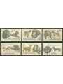 CZECHOSLOVAKIA 1973 Hunting dogs 6v MNH**