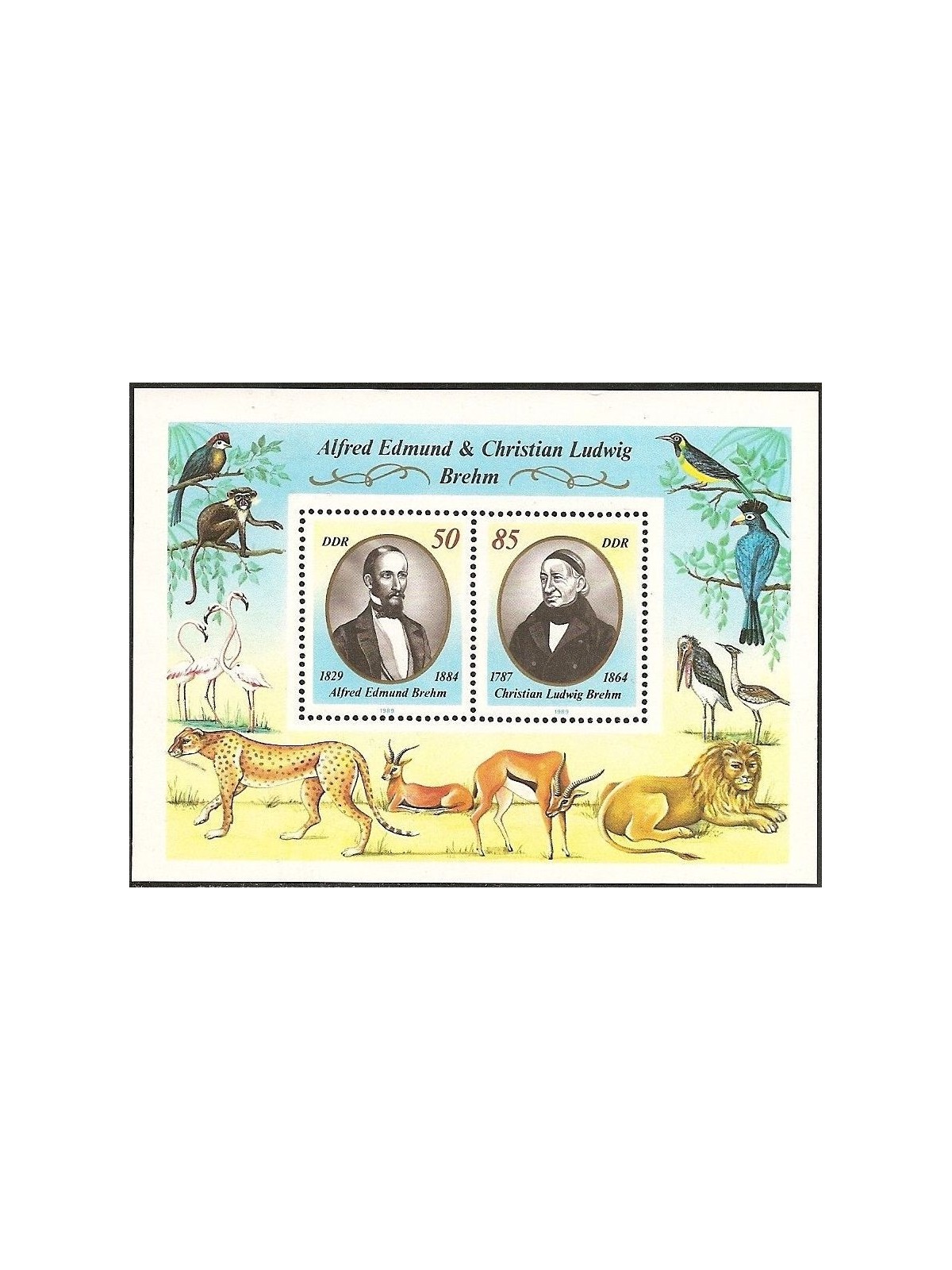 GERMANIA DDR 1989 Alfred Edmund Brehm 1 BF MNH**