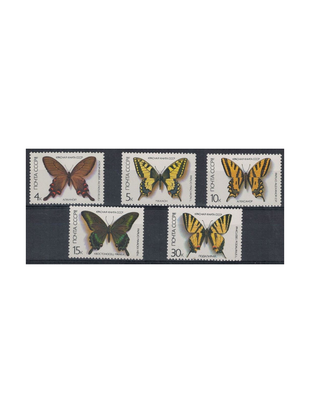 RUSSIA 1987 Fauna, butterflies 5v MNH**