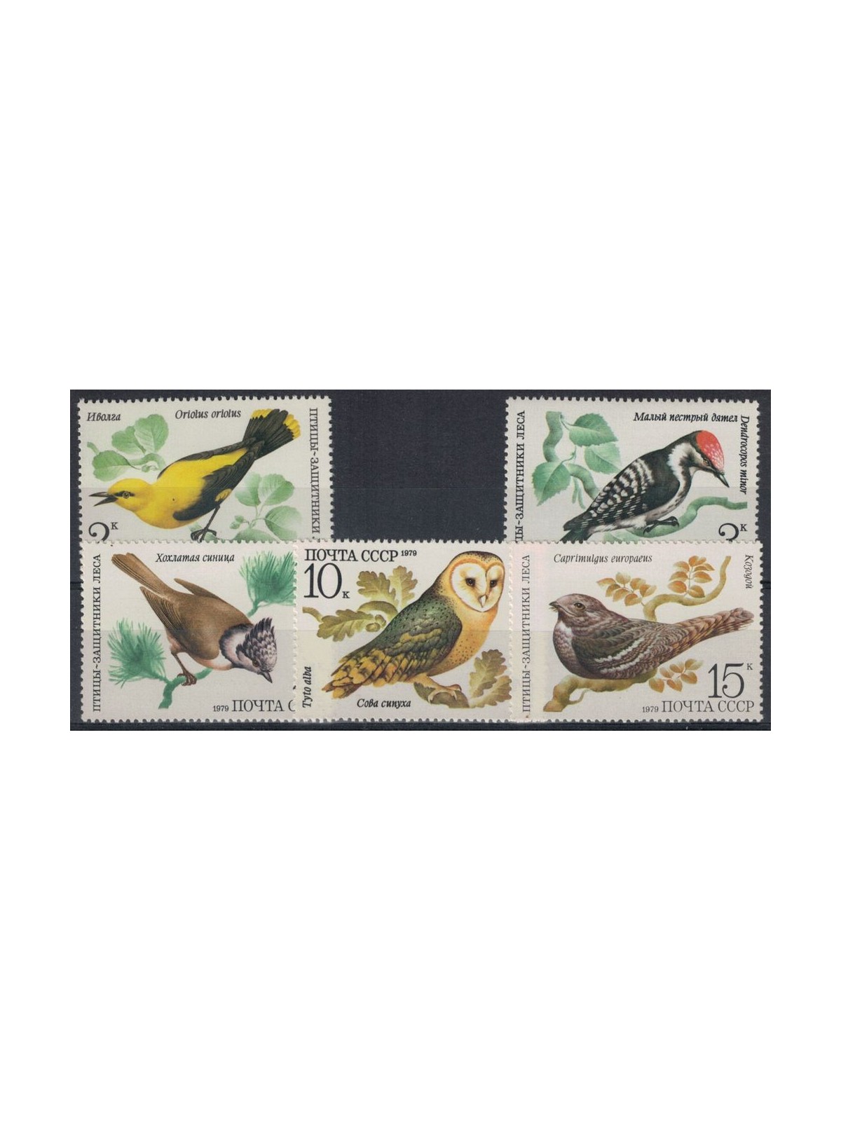 RUSSIA 1979 Fauna, uccelli delle foreste 5v MNH**