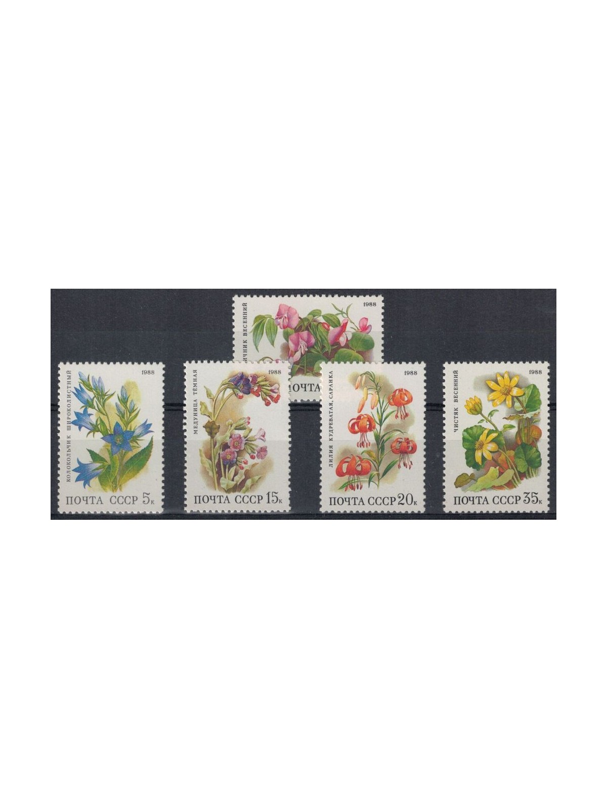 RUSSIA 1988 Flora, flowers 5v MNH**