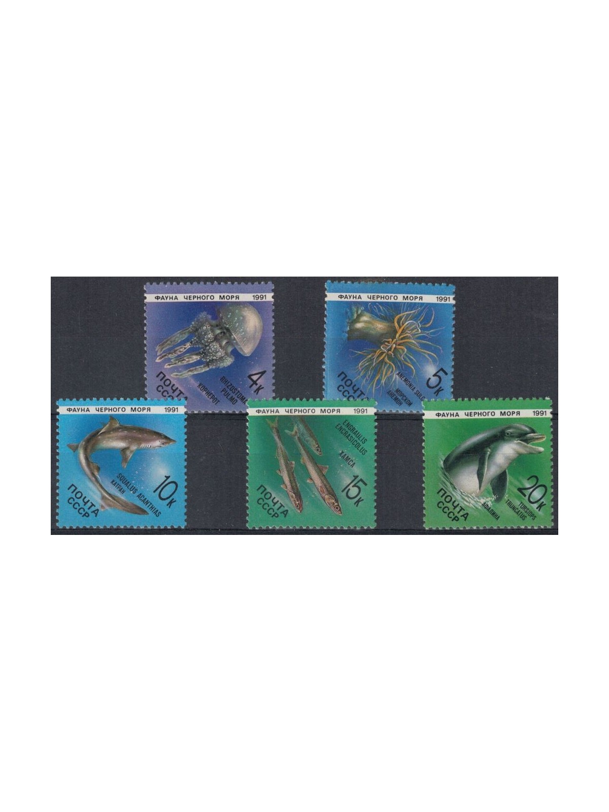RUSSIA 1991 Black Sea Fauna 5v MNH**