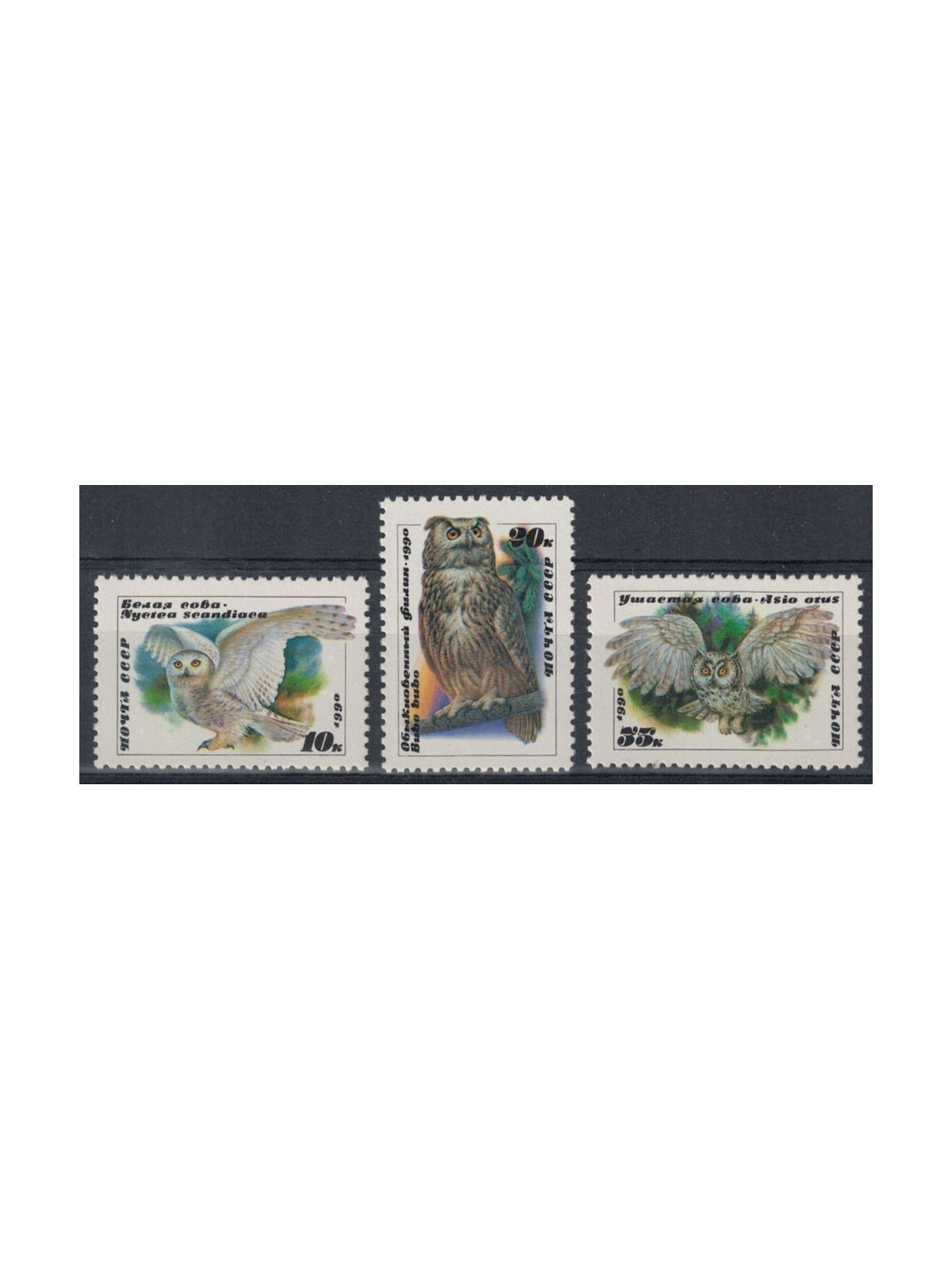 RUSSIA 1990 Fauna, rapaci notturni 3v MNH**