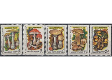 RUSSIA 1986 Flora, poisonous mushrooms 5v MNH**