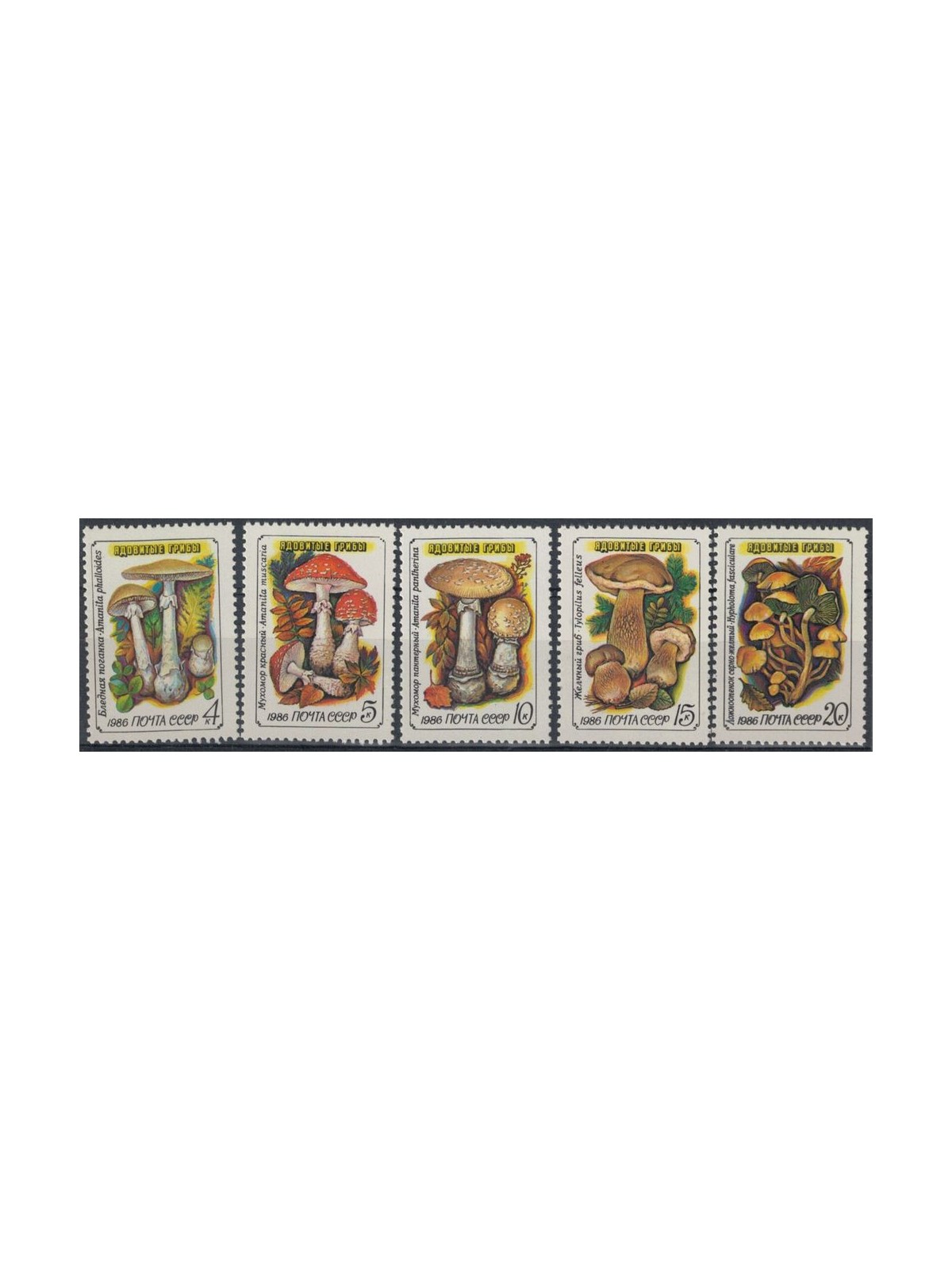 RUSSIA 1986 Flora, poisonous mushrooms 5v MNH**