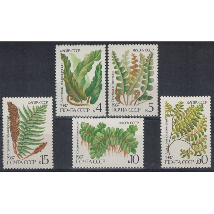 RUSSIA 1987 Flora, ferns 5v MNH**