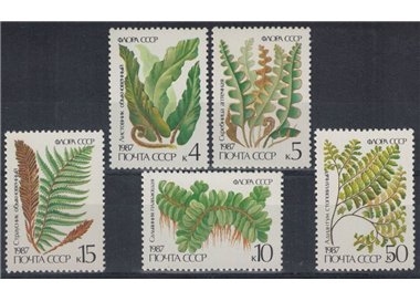RUSSIA 1987 Flora, felci 5v MNH**