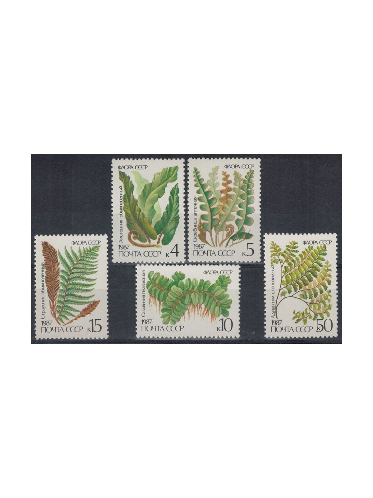 RUSSIA 1987 Flora, ferns 5v MNH**