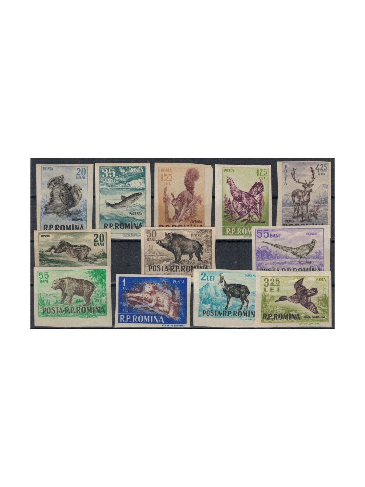 ROMANIA 1956 Caccia e pesca non dent. 12v MNH**