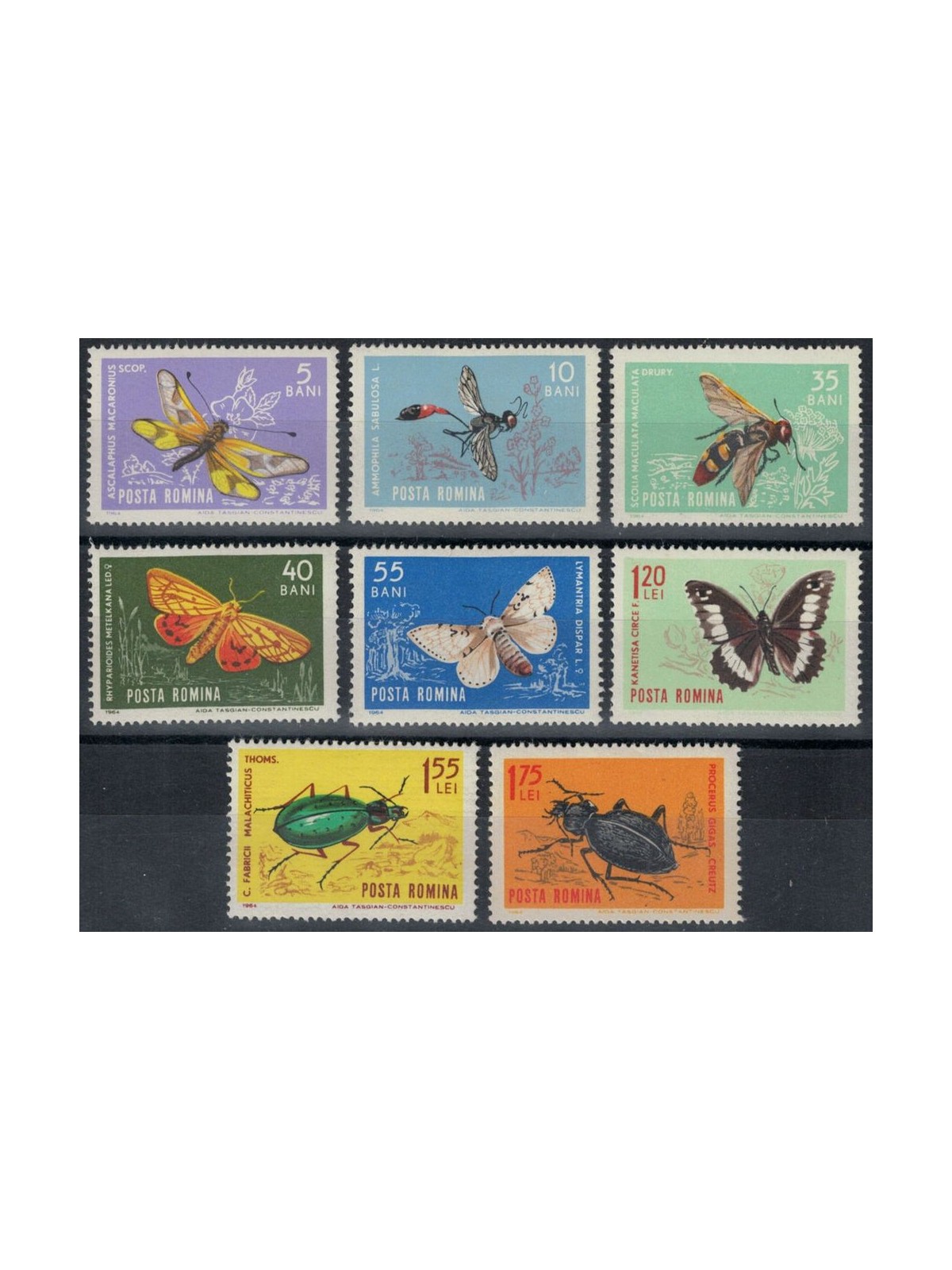 ROMANIA 1964 Insetti diversi 8v MNH**