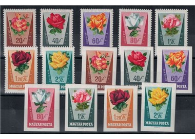 UNGHERIA 1962 Rosa hybrida 14v MNH**