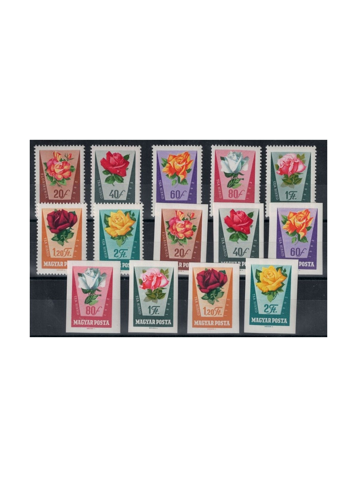 HUNGARY 1962 Rosa hybrida 14v MNH**