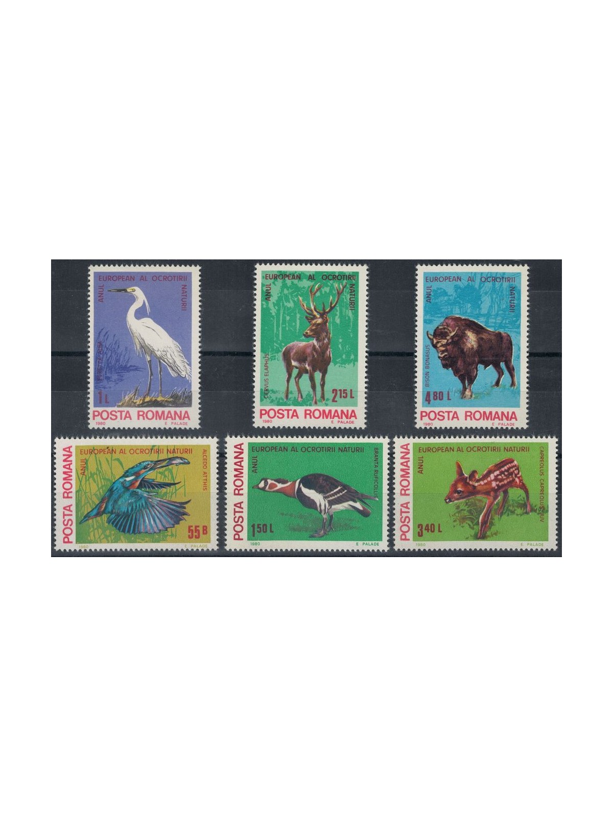 ROMANIA 1980 Conservazione della natura 6v MNH**