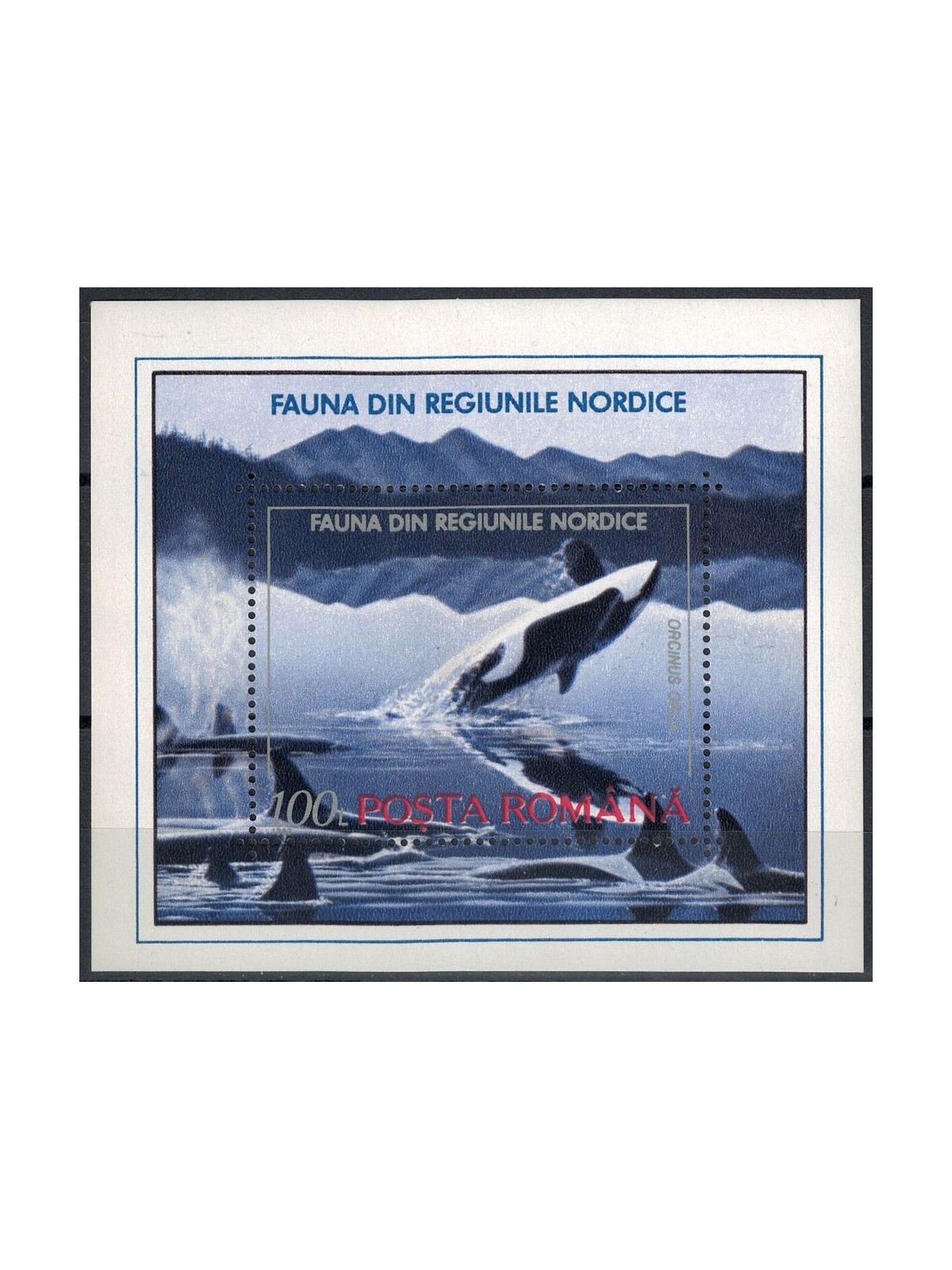 ROMANIA 1992 Fauna delle regioni del nord 1 BF MNH**