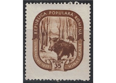 ROMANIA 1955 Mese della foresta, cinghiale 1v MNH**