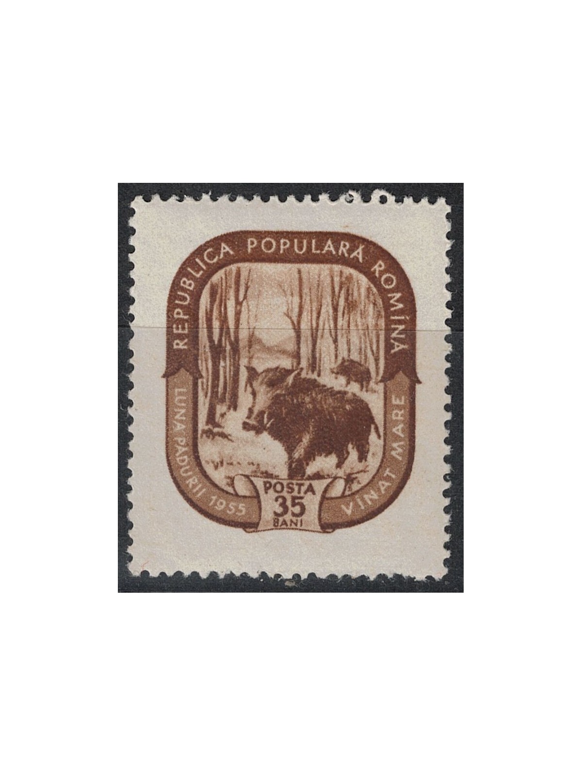 ROMANIA 1955 Mese della foresta, cinghiale 1v MNH**