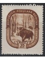 ROMANIA 1955 Forest Month, Wild Boar 1v MNH**