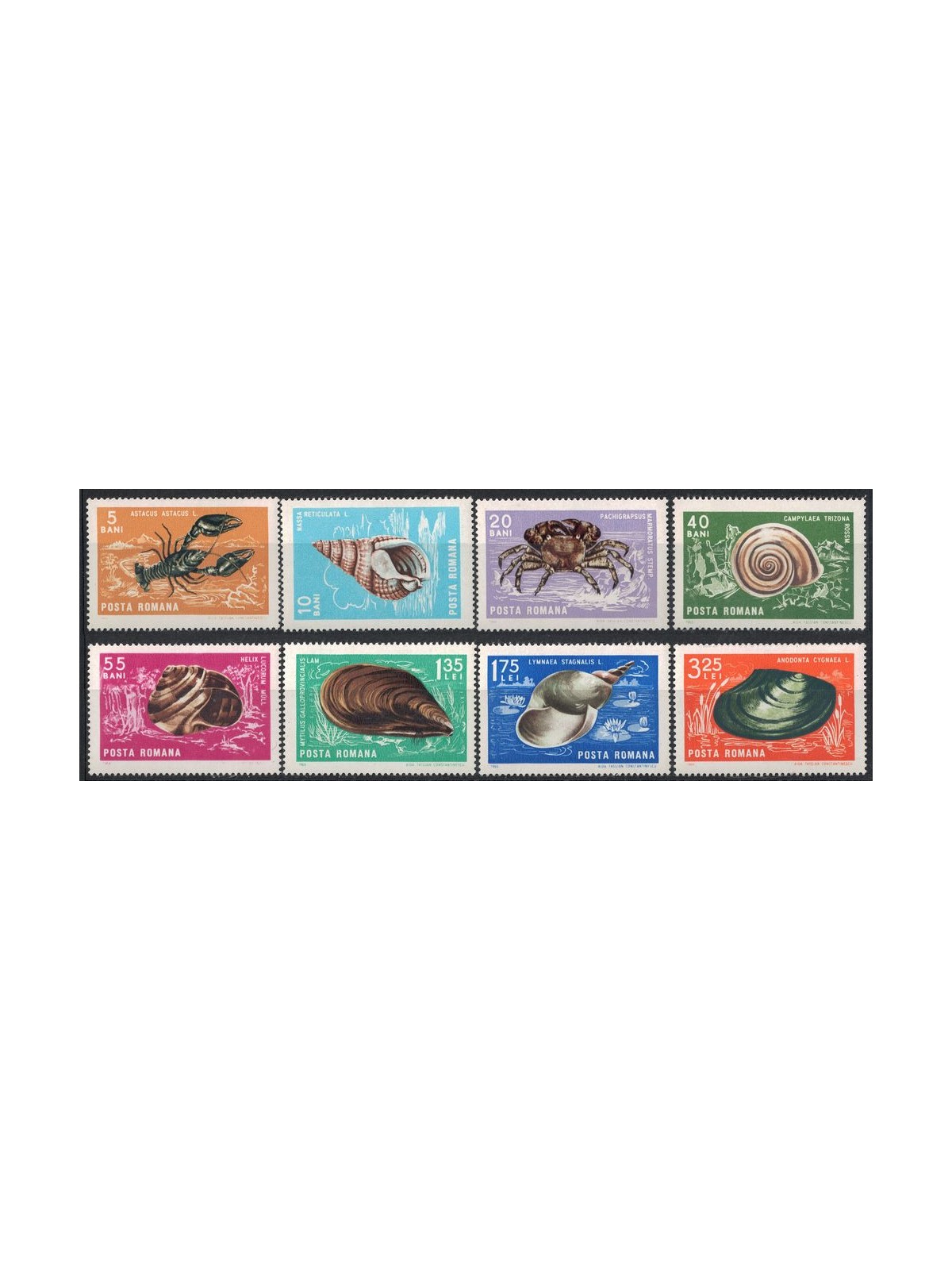 ROMANIA 1966 Molluscs and crustaceans 8v MNH**