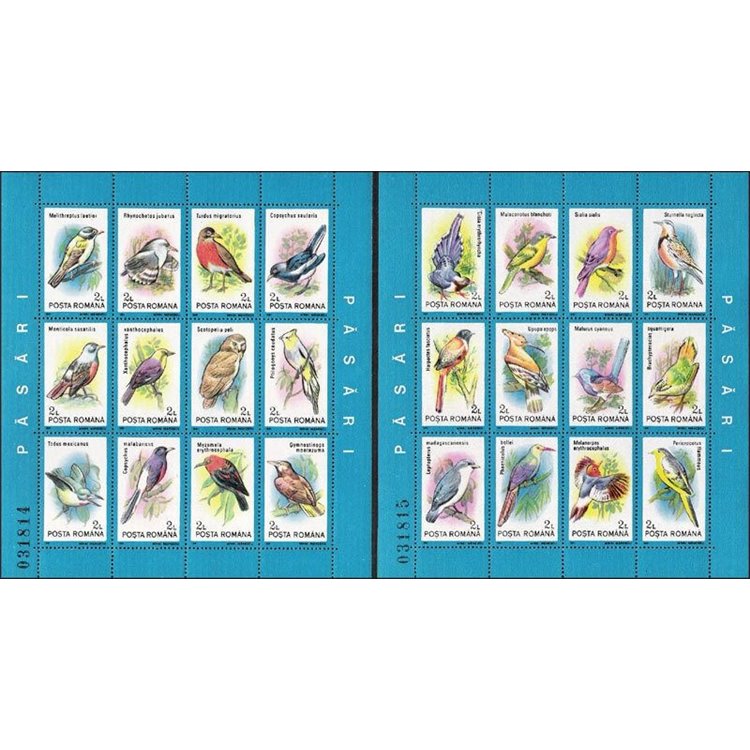 ROMANIA 1991 Birds 2 s/s MNH**