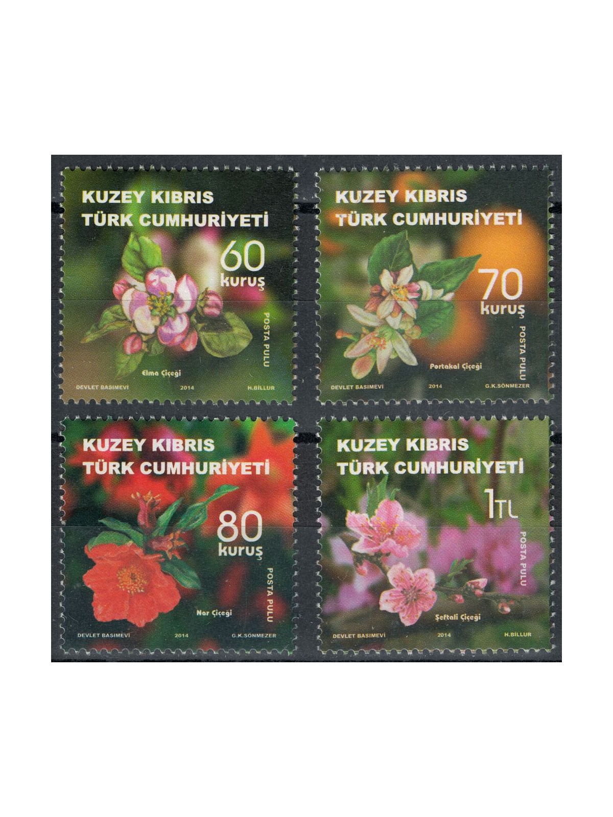 NORTHERN CYPRUS 2014 Fruit Plants, Flowers 4v MNH**