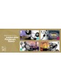 GREAT BRITAIN 2012 London 2012 Paralympics s/s MNH**