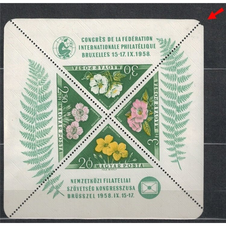 HUNGARY 1958 Philatelic Congress s/s MNH** dif