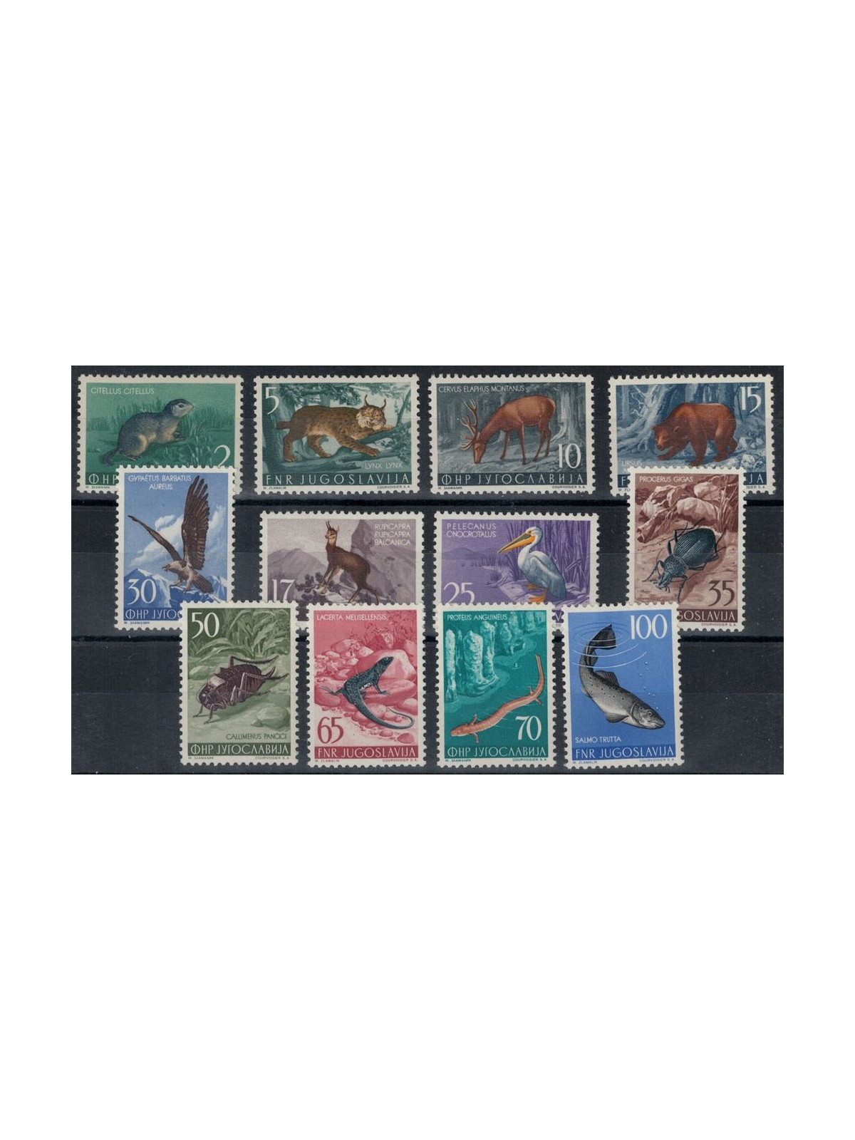 YUGOSLAVIA 1954 Yugoslav fauna 12v MNH**