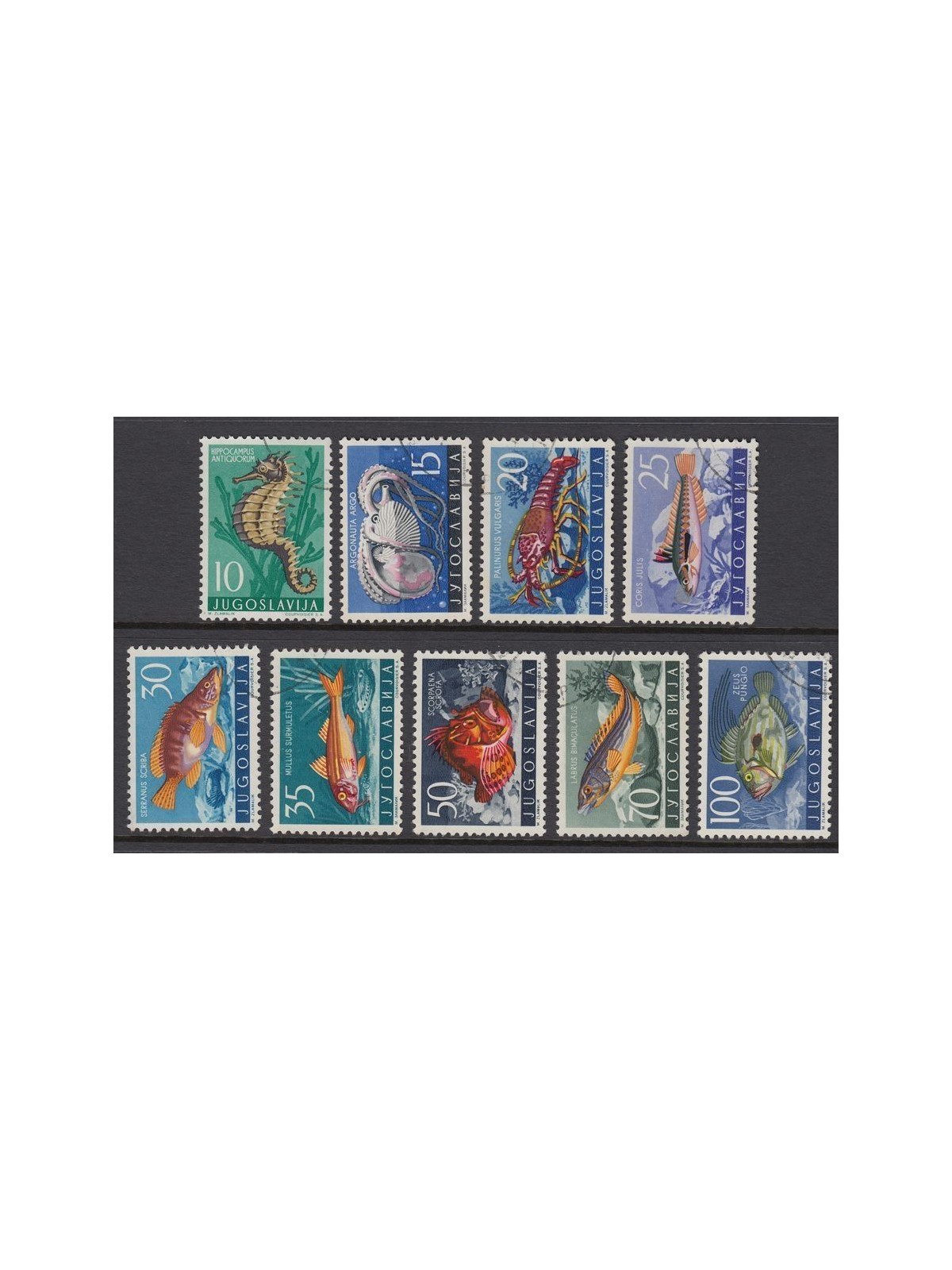 YUGOSLAVIA 1956 Yugoslavian fauna, animals of the Adriatic Sea 9v us