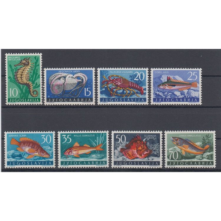YUGOSLAVIA 1956 Yugoslavian fauna, animals of the Adriatic Sea 9v mng