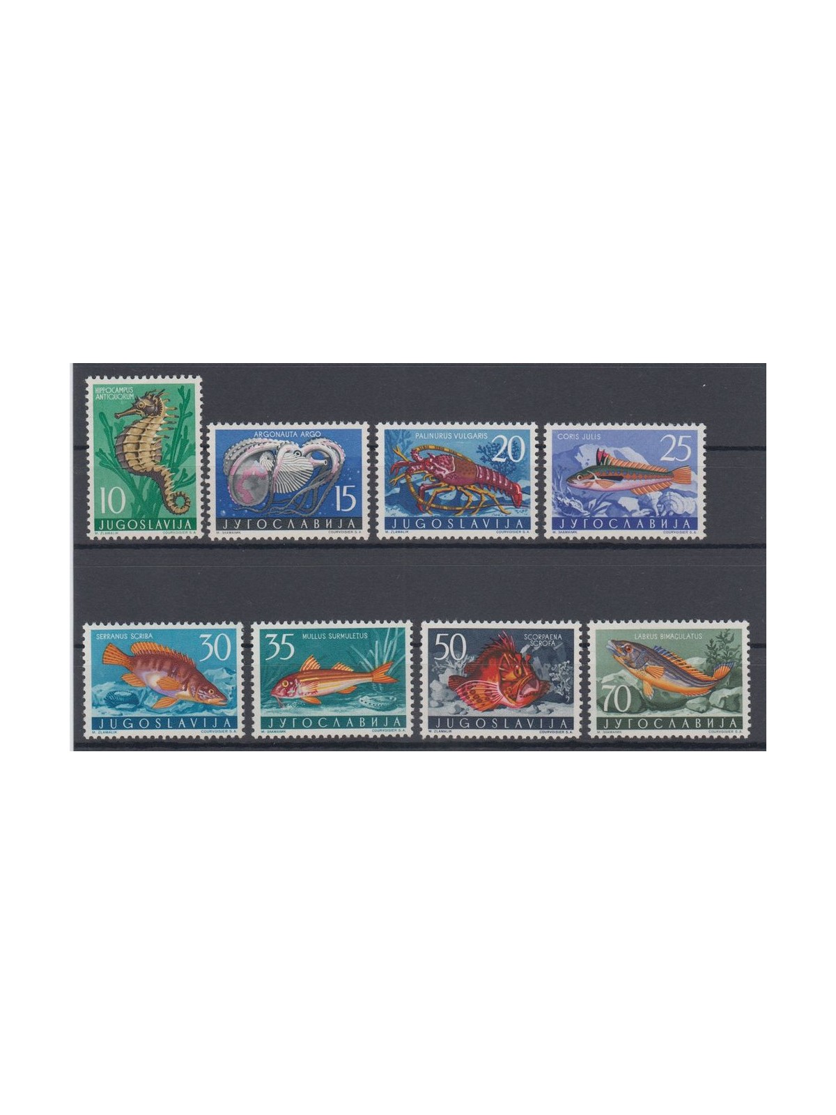 JUGOSLAVIA 1956 Fauna jugoslava, animali del Mare Adriatico 9v mng