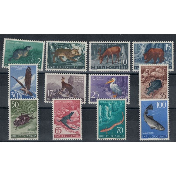 YUGOSLAVIA 1954 Yugoslav fauna 12v mg