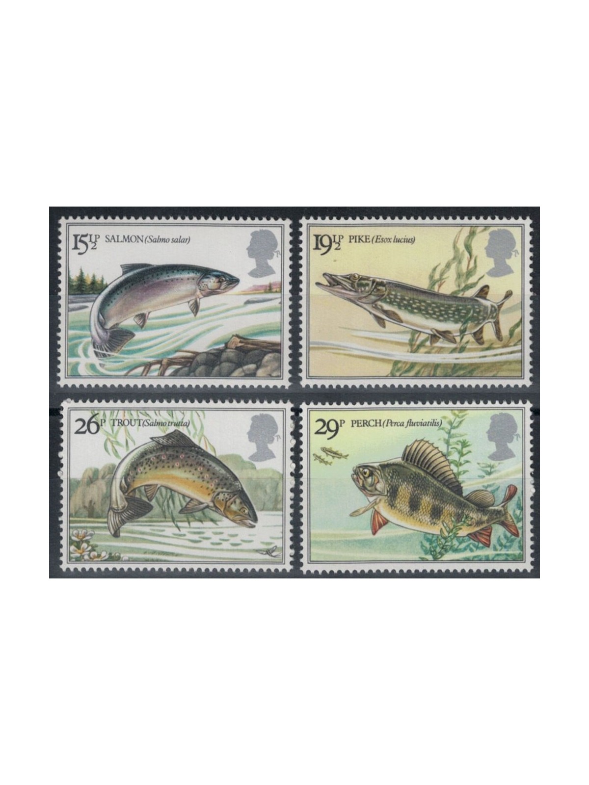 GREAT BRITAIN 1983 Freshwater fish 4v MNH**