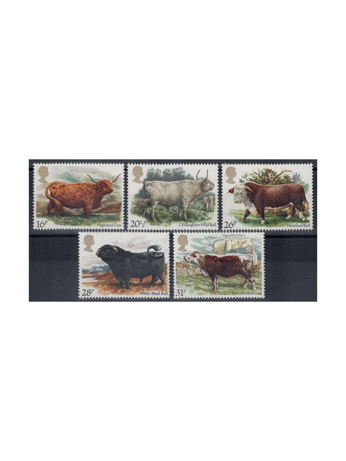 GRAN BRETAGNA 1984 Razze bovine 5v MNH**